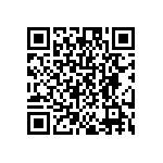 DW-02-09-T-S-527 QRCode