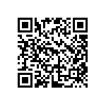 DW-02-12-T-S-705 QRCode