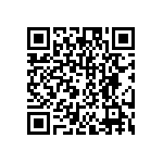 DW-02-17-T-D-299 QRCode