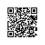 DW-03-11-T-S-787 QRCode