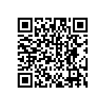 DW-03-13-T-S-985 QRCode