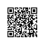 DW-04-09-F-D-300 QRCode