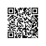 DW-04-09-T-S-310 QRCode