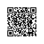 DW-04-09-T-S-417 QRCode