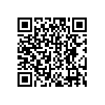 DW-04-10-T-S-213 QRCode