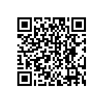 DW-04-11-T-D-594 QRCode