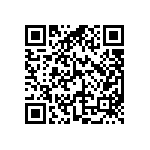 DW-04-12-T-D-787-LL QRCode