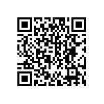 DW-04-13-F-D-970 QRCode