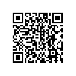 DW-04-13-T-S-838 QRCode