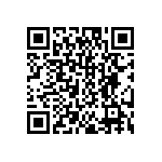 DW-04-15-T-S-413 QRCode