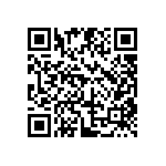 DW-04-17-T-S-275 QRCode