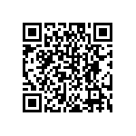 DW-04-19-T-Q-300 QRCode