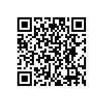 DW-06-09-S-S-300 QRCode