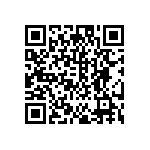 DW-06-13-T-S-940 QRCode