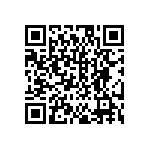 DW-09-13-T-S-987 QRCode