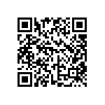 DW-10-11-G-D-295 QRCode