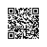 DW-11-13-T-Q-450 QRCode