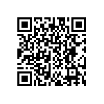 DW-12-08-T-S-313 QRCode