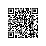 DW-12-13-G-D-300 QRCode