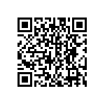 DW-12-13-S-T-963 QRCode