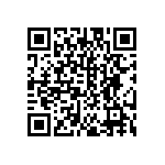 DW-12-13-T-S-300 QRCode