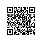 DW-12-17-T-S-300 QRCode