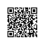 DW-13-09-S-D-450 QRCode