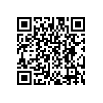 DW-13-09-T-S-315 QRCode