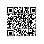 DW-13-10-T-D-395 QRCode