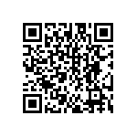 DW-13-11-F-S-595 QRCode