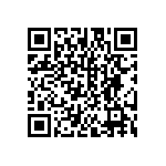 DW-13-13-T-D-787 QRCode