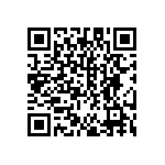 DW-22-13-F-S-905 QRCode