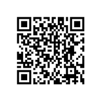 DW-24-13-G-S-940 QRCode