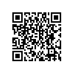 DW-41-13-F-S-940 QRCode