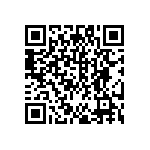 DW-46-13-F-S-945 QRCode