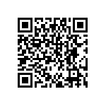 DW-47-19-F-S-985 QRCode