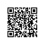 DW-49-13-F-S-935 QRCode