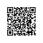 DWM-02-01-T-D-250 QRCode