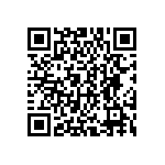 DWM-04-01-T-D-250 QRCode