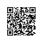 DWM-04-51-T-S-250 QRCode