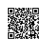 DWM-04-55-G-S-380 QRCode