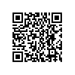 DWM-04-55-S-D-380 QRCode