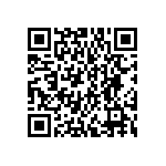 DWM-13-61-G-D-787 QRCode