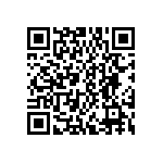 DWM-16-55-G-D-295 QRCode