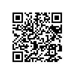 DWM-17-53-S-D-385 QRCode