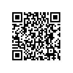 DWM-24-01-T-S-250 QRCode