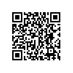 DWM-41-53-L-D-385 QRCode