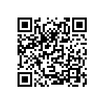 E81D501VSN271QR55T QRCode