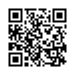 EI09C1530000G QRCode