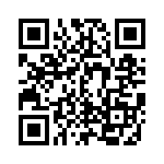 EP4CE22F17C8L QRCode